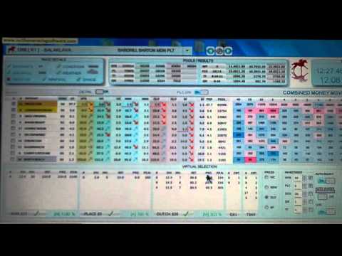 horse racing ratings software